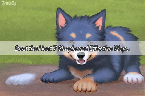 Beat the Heat 7 Simple and Effective Ways to Cool Down Your Pup This Summer